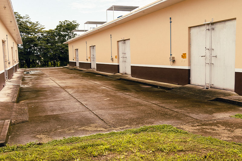 SALSA HUICHOL Magnífico sabor Información empresarial